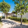Le Mimose Family Camping Village (FM) Marche