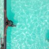 Persone nuotano in una piscina vista dall'alto.