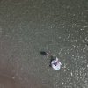 Persone nuotano in mare viste dall'alto.