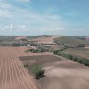 Paesaggio rurale con campi coltivati.